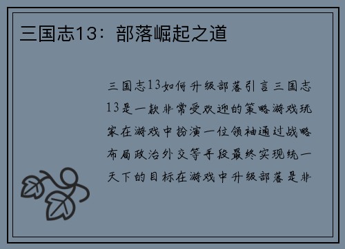 三国志13：部落崛起之道